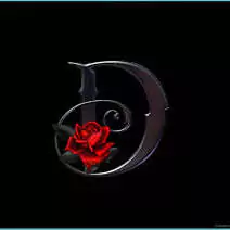 d letter dp d letter dp